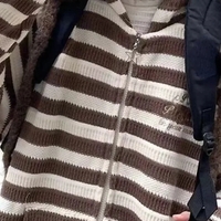 Brown Stripe Zipper Cardigan  - Thumbnail 3
