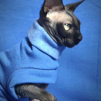 Heathers (sky blue) - rolled collar