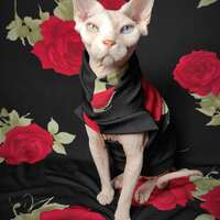 Roses Are Falling - Thumbnail 2