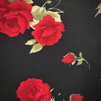 Roses Are Falling - Thumbnail 3