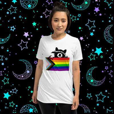 Raccoon pride flag unisex t-shirt