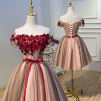 High quality A line tulle lace short homecoming dress - Thumbnail 1