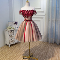 High quality A line tulle lace short homecoming dress - Thumbnail 2