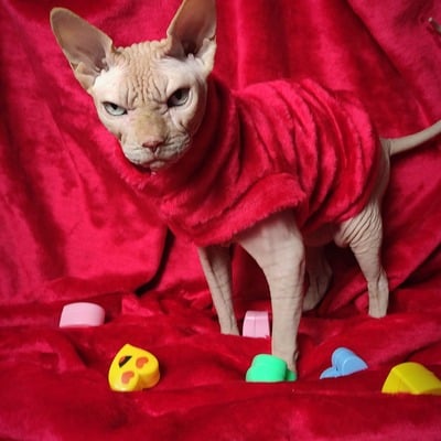 The kissing booth vegan fur