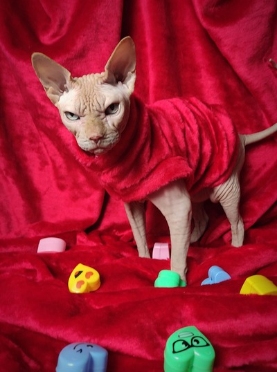 The Kissing Booth Vegan Fur