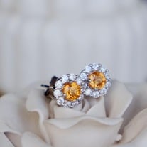 Sunflower-Fanta Garnet Spessartine Garnet Earstuds 925 Sterling Silver Stud Earrings Spessartine Garnet Earstuds for Women