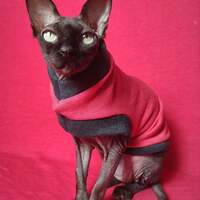 The Ringer Yeezus - Thumbnail 1