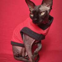 The Ringer Yeezus - Thumbnail 3