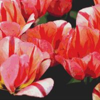 Tulips Cross Stitch Pattern - Thumbnail 1