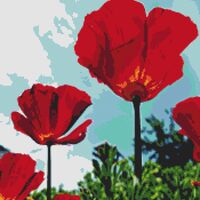 Red Poppies Cross Stitch Pattern - Thumbnail 1