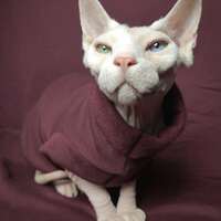 Marooned - Rolled Collar - Thumbnail 1