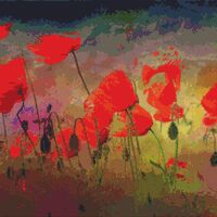 Poppies In The Breeze Cross Stitch Pattern - Thumbnail 1
