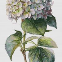 Pink Hydrangea Cross Stitch Pattern - Thumbnail 1