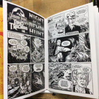 Spring Special - Thumbnail 3