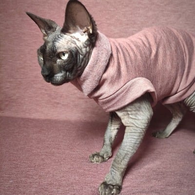 Heathers (merlot) - rolled collar