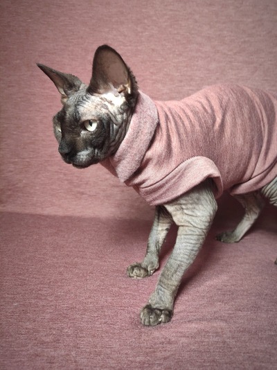 Heathers (Merlot) - Rolled Collar