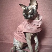 Heathers (Merlot) - Rolled Collar - Thumbnail 2