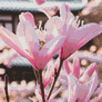 Magnolia Cross Stitch Pattern - Thumbnail 1