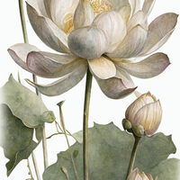 Lotus Flowers Cross Stitch Pattern - Thumbnail 2