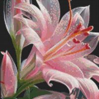 Jersey Lily Cross Stitch Pattern - Thumbnail 1