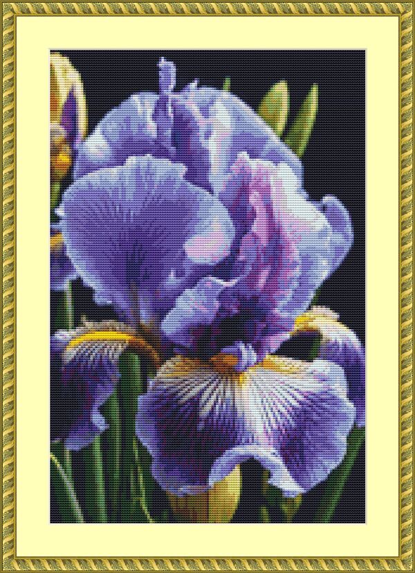 Iris Cross Stitch Pattern