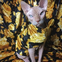 Golden Shower? - Thumbnail 2