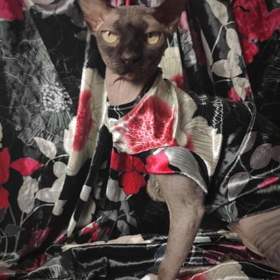 Hong kong garden (red)