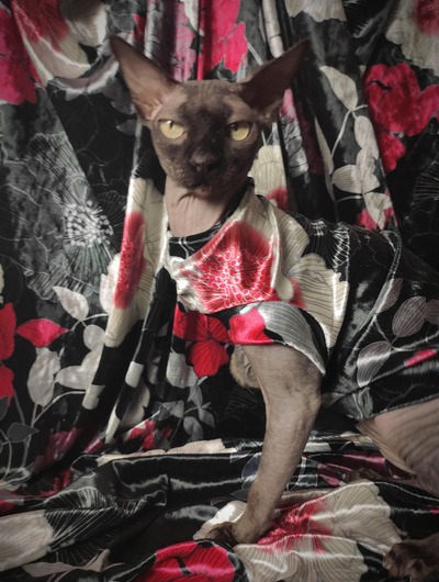 Hong Kong Garden (Red)