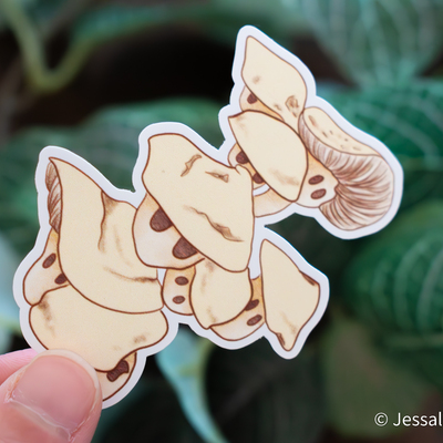 Oyster mushroom sticker
