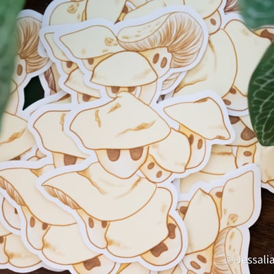Oyster mushroom sticker