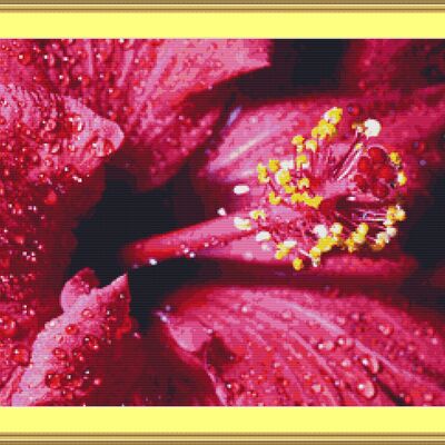 Dew on a hibiscus cross stitch pattern  - Thumbnail 4