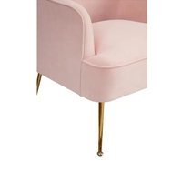 Rebecca Leisure Chair - 9010-1-PNK - Thumbnail 3