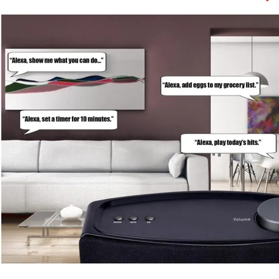 Wi-fi & bluetooth multi-room speaker with amazon alexa voice control - nas-5001-blk