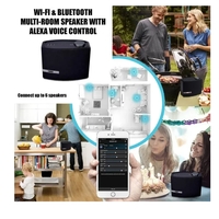 Wi-Fi & Bluetooth Multi-Room Speaker with Amazon Alexa Voice Control - NAS-5001-BLK - Thumbnail 5