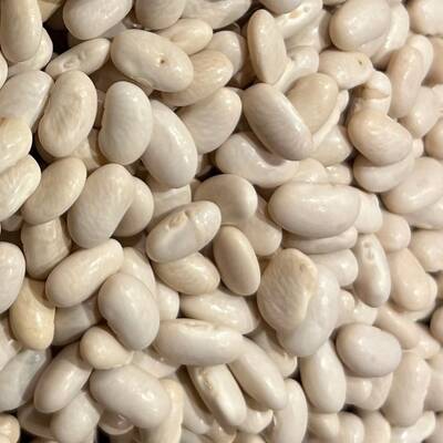 chivo blanco white bean heirloom seed packet