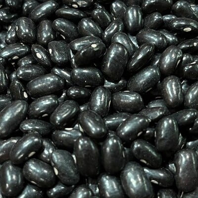 Ayocote black frijoles black bean heirloom seed packet