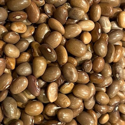 Bayo beans frijoles de olla ii heirloom seed packet