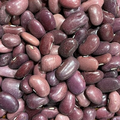 Ayocote morado bean heirloom seed packet