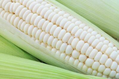 Silver Queen Sweet Corn Premium Seed Packet