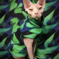 Northern Lights - Thumbnail 1