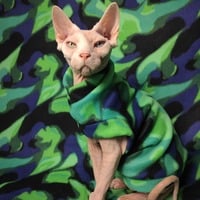 Northern Lights - Thumbnail 2