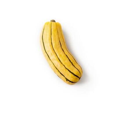 Delicata peanut sweet potato winter squash premium seed packet