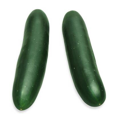 Superior salad cucumber heirloom premium seed packet