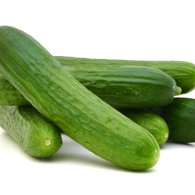 Garden sweet burpless cucumber heirloom premium seed packet