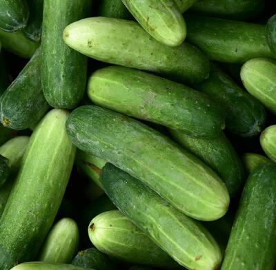 Marketmore 76 Cucumber Salad Slicing Heirloom Premium Seed Packet