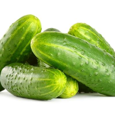 Homemade pickles pickling cucumber heirloom premium seed packet