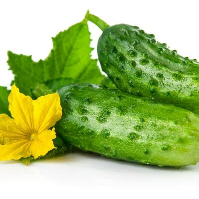 Wisconsin smr 58 pickling cucumber heirloom premium seed packet