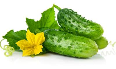 Wisconsin SMR 58 Pickling Cucumber Heirloom Premium Seed Packet