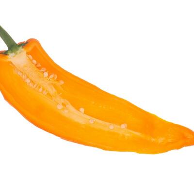 Yellow hungarian hot chile heirloom pepper premium seed packet