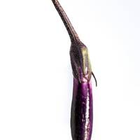 Pingtung Eggplant Purple Asian Long Premium Seed Packet - Thumbnail 1